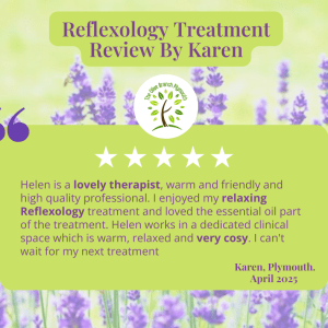 A written review of the olive branch plymouth