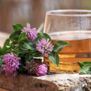 a picture of red clover flowers and a mug of tea